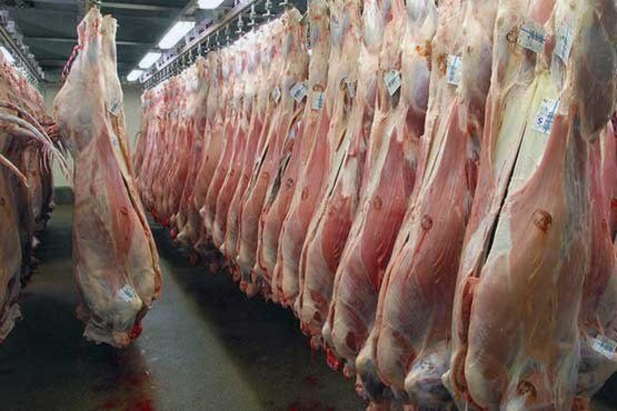 ۱۳ ابتلا و یک فوتی ناشی از تب کریمه کنگو + هشدار وزارت بهداشت ۱۳ ابتلا و یک فوتی ناشی از تب کریمه کنگو + هشدار وزارت بهداشت